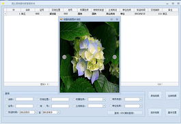 編程小菜的軟件開(kāi)發(fā)記